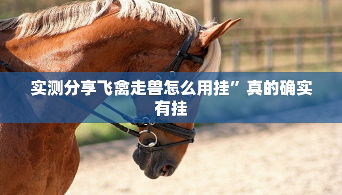 攻略必备“豆豆楚风麻将作弊透视开挂软件”其实确实有挂
