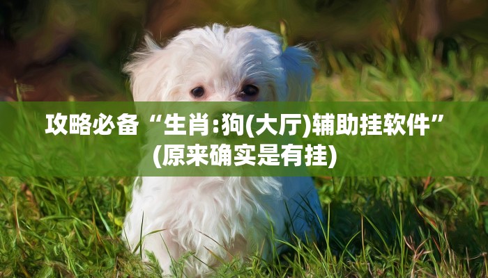 实测分享爱玩辽宁麻将透视挂”其实确实有挂
