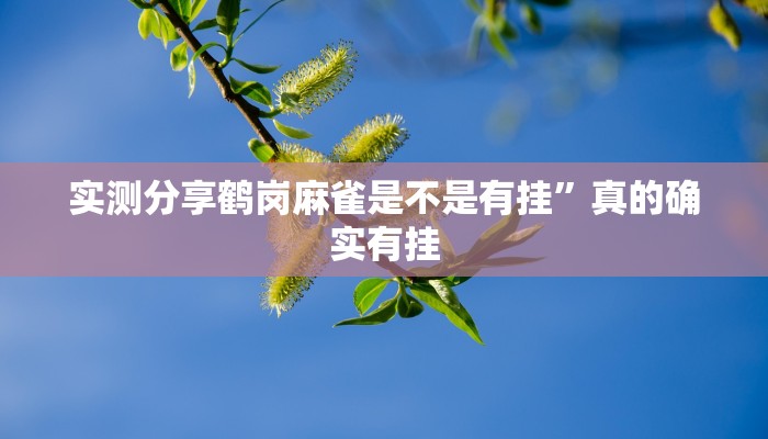 攻略必备“闽游麻将开挂透视下载”(原来确实是有挂)