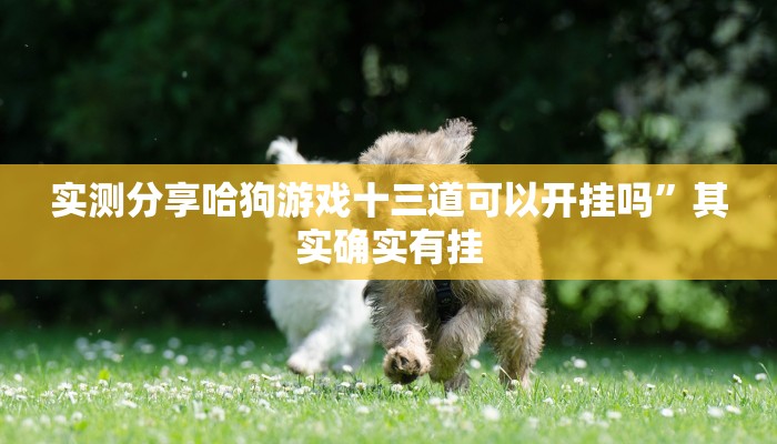实测分享同城跑胡子是不是有挂”其实确实有挂
