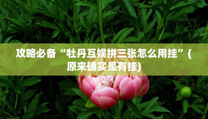 实测教程”星悦内蒙麻将作弊透视开挂软件”真的确实有挂