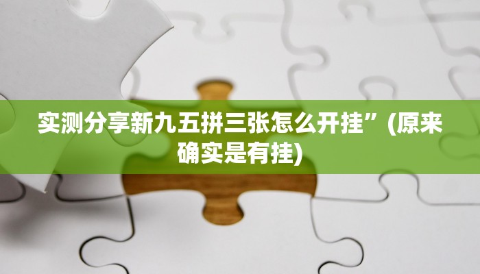 实测教程”Poker Simulator透视”真的确实有挂