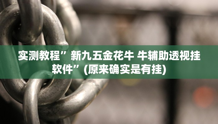 攻略必备“趣味板子炮辅助挂软件”(原来确实是有挂)