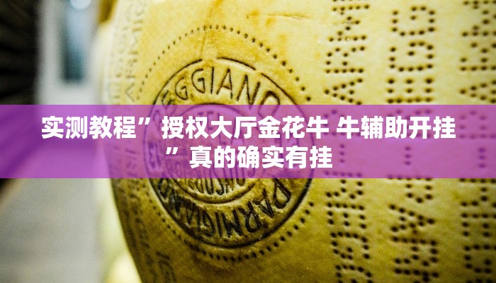 实测教程”功夫川麻透视挂”(原来确实是有挂)