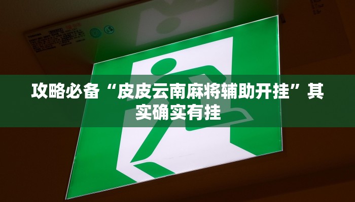 实测分享好友赣南麻将透视挂”真的确实有挂