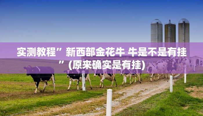 实测教程”三哥玩十三张助赢神器”其实确实有挂
