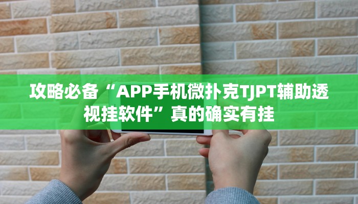 实测教程”心动休闲开挂神器”(原来确实是有挂)