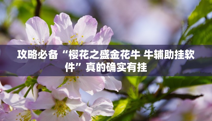 攻略必备“方片比鸡作弊透视软件方法”真的确实有挂