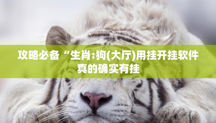 实测分享西兵互娱万能开挂器通用版”真的确实有挂