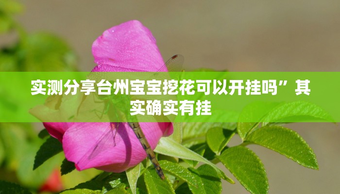 实测教程”欢聚麻将透视软件”其实确实有挂
