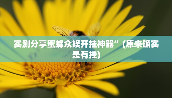实测教程”赣牌圈武宁双扣可以开挂吗”其实确实有挂
