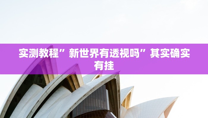 实测教程”新世界有透视吗”其实确实有挂
