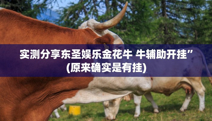攻略必备“顺欣麻将有挂吗”真的确实有挂