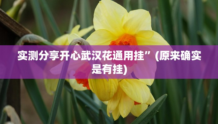 实测教程”微信链接金花辅助透视挂软件”真的确实有挂