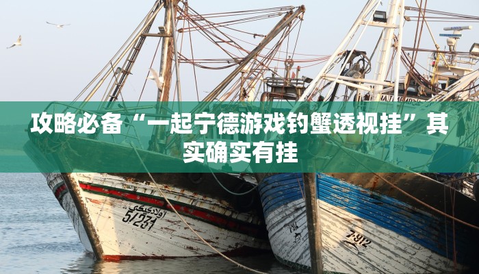 实测分享大宝苏北游戏透视软件”(原来确实是有挂)