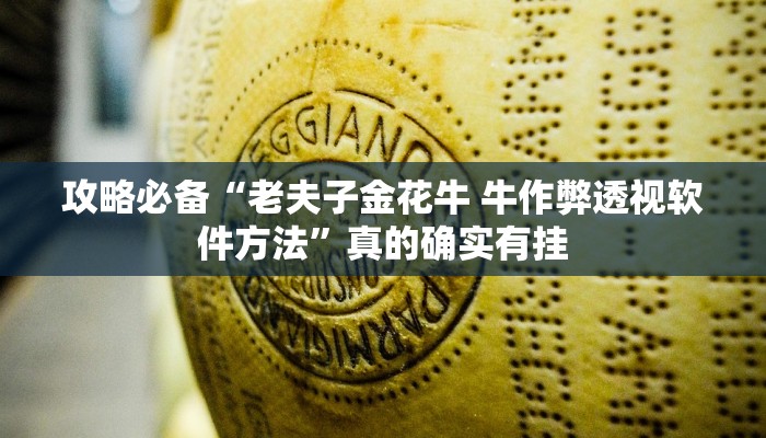 攻略必备“新518互游斗牛透视挂”(原来确实是有挂)
