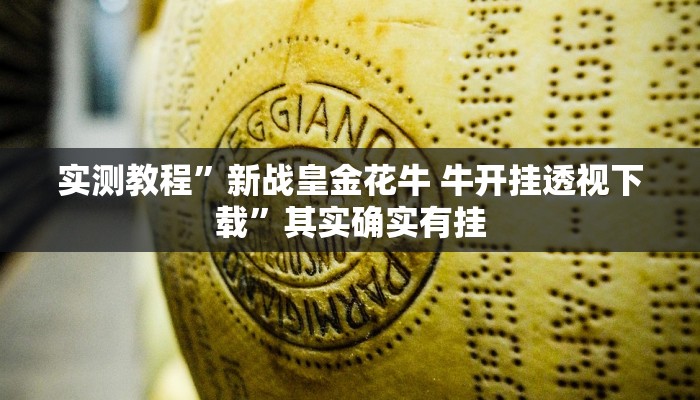 攻略必备“新百汇开挂透视下载”真的确实有挂