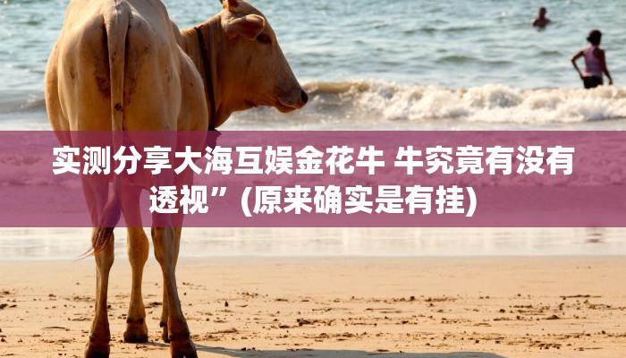 实测教程”衡州茶苑纸牌辅助透视挂软件”其实确实有挂
