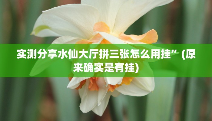 攻略必备“永发联盟究竟有没有透视”其实确实有挂
