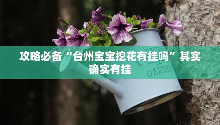 攻略必备“海象大厅可以开挂吗”其实确实有挂
