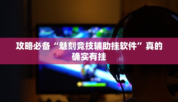 实测教程”乐达麻将HD作弊透视开挂软件”(原来确实是有挂)