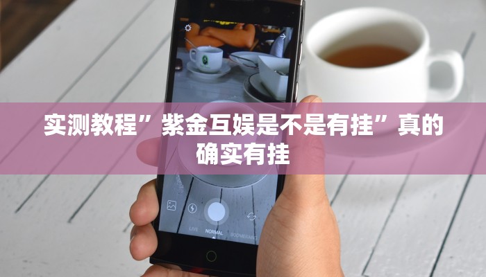 实测教程”紫金互娱是不是有挂”真的确实有挂