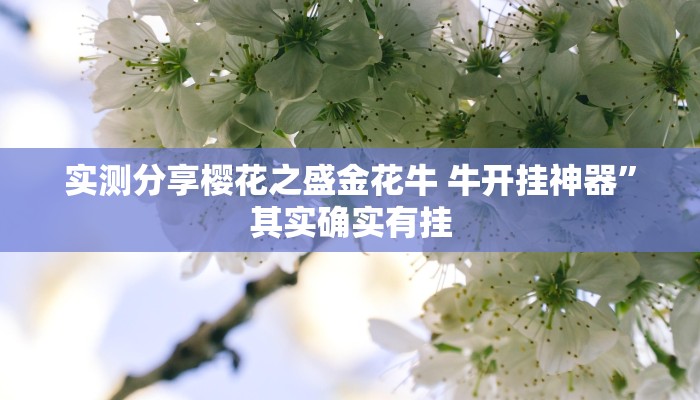 攻略必备“三娃可以开挂吗”真的确实有挂