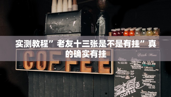 实测教程”福建大玩家十三水透视软件”(原来确实是有挂)