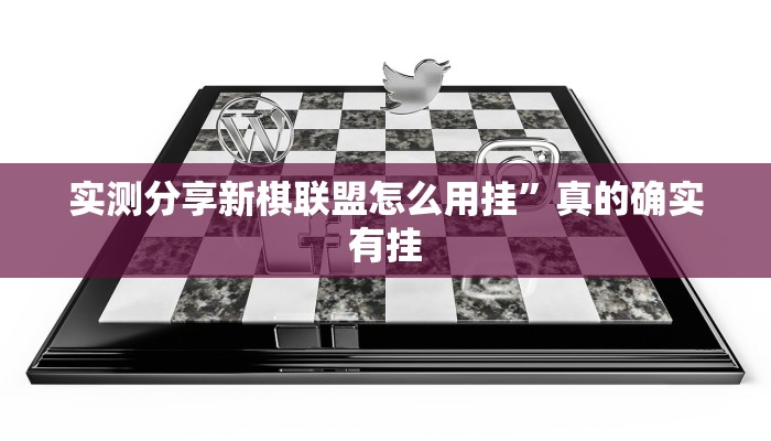 攻略必备“九哥玩用挂开挂软件”
其实确实有挂
