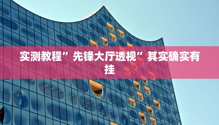 实测教程”新棋联盟怎么用挂”(原来确实是有挂)