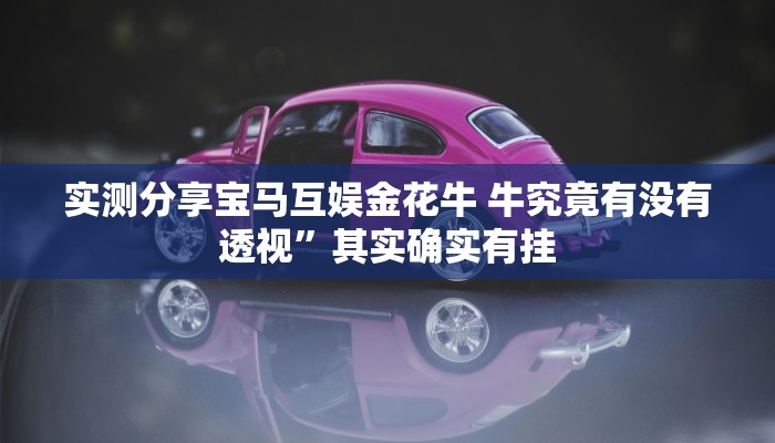 实测教程”大冶打拱开挂神器”其实确实有挂
