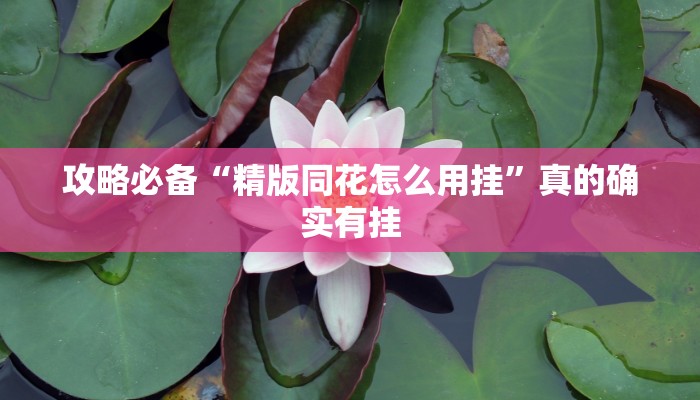 实测教程”科乐松原麻将是不是有挂”(原来确实是有挂)
