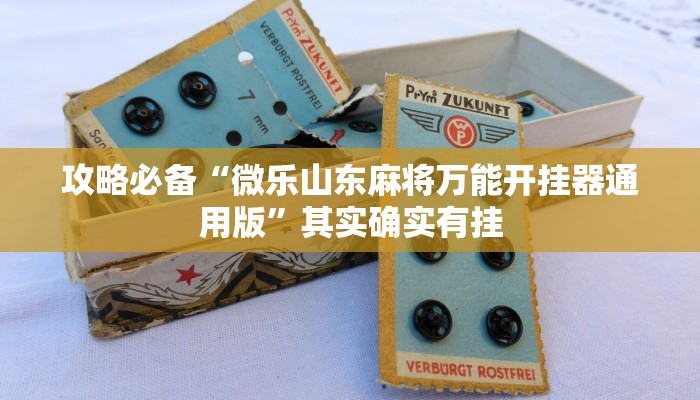 实测教程”天天酒都麻将辅助透视挂软件”(原来确实是有挂)