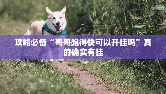 实测分享浙衢麻将怎么用挂”(原来确实是有挂)