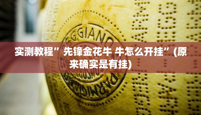 实测分享新时代作弊透视软件方法”其实确实有挂
