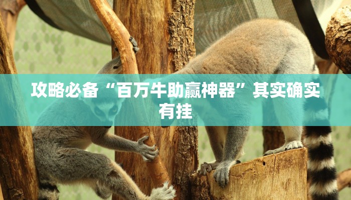 实测教程”汇友王者作弊透视开挂软件”其实确实有挂
