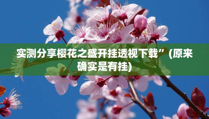 实测分享天王大厅拼三张助赢神器”(原来确实是有挂)