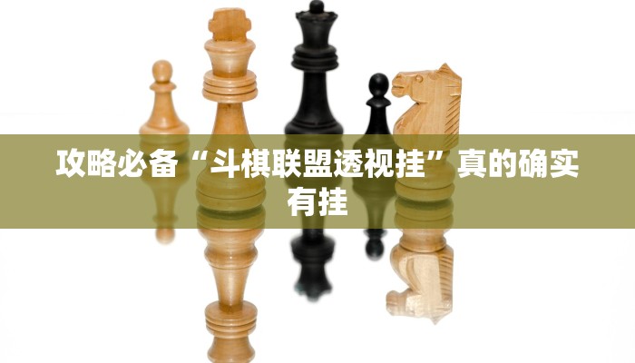 攻略必备“德扑之星作弊透视软件方法”其实确实有挂
