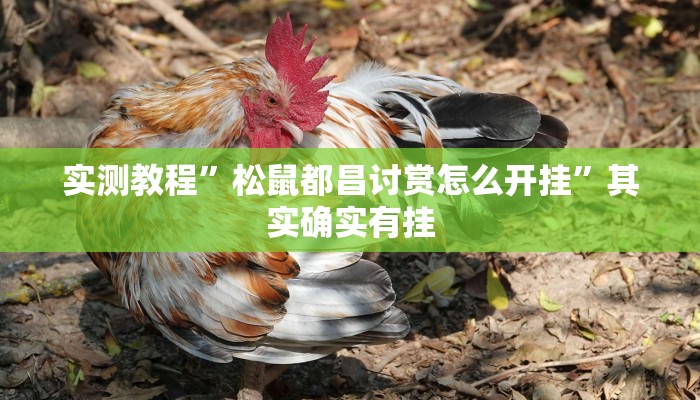 攻略必备“飞驰娱乐有透视吗”其实确实有挂
