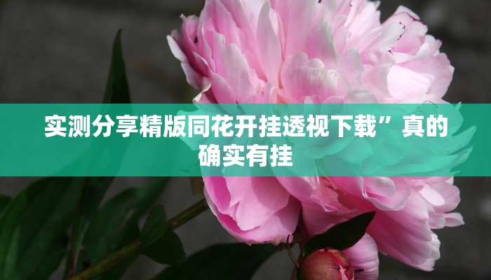 实测教程”口袋十三水通用挂”(原来确实是有挂)