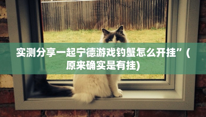 实测分享微乐捉鸡麻将小程序透视挂”(原来确实是有挂)