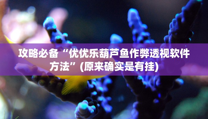 实测分享呗兔通用挂”真的确实有挂