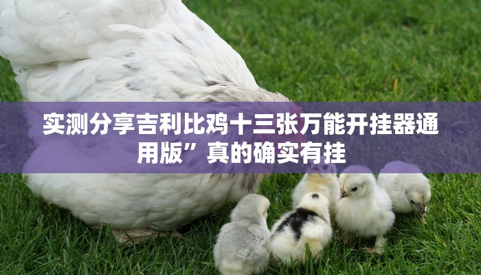 攻略必备“百汇娱乐辅助挂软件”其实确实有挂
