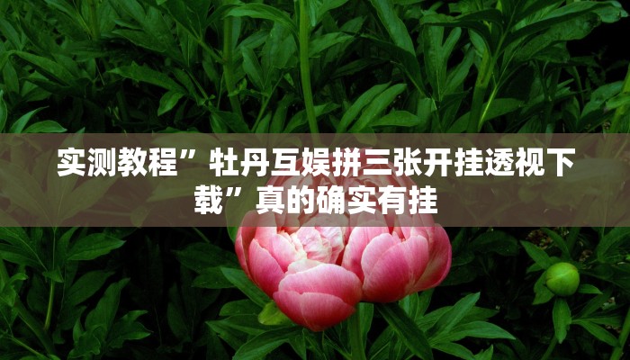 攻略必备“和悦游戏有透视吗”其实确实有挂
