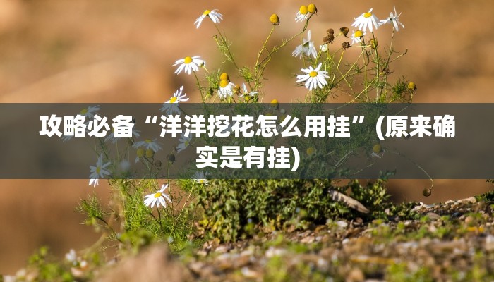 实测分享新荣耀作弊透视软件方法”(原来确实是有挂)