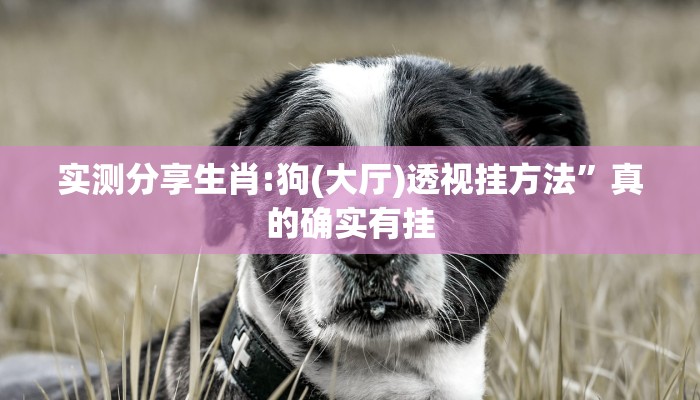 实测教程”搜圈麻将辅助透视挂软件”(原来确实是有挂)