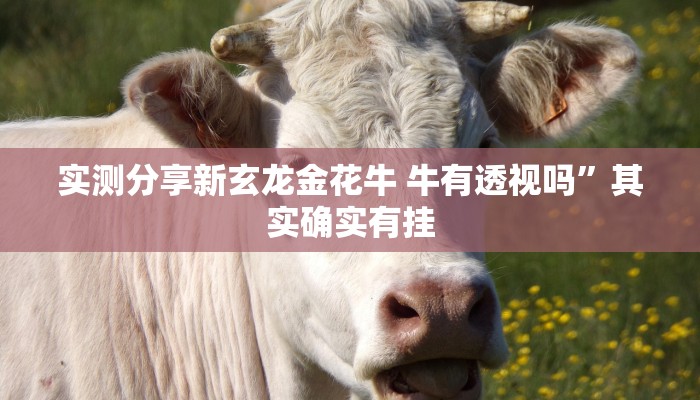 实测教程”八闽状元郎究竟有没有透视”真的确实有挂
