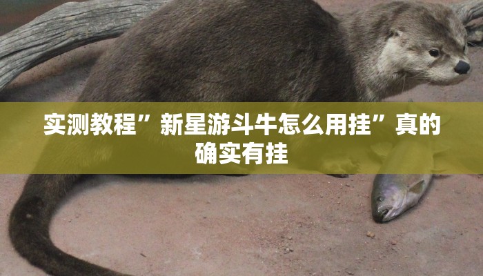 攻略必备“新神皇金花牛 牛作弊透视开挂软件”真的确实有挂