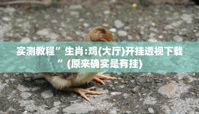 实测分享相约麻将十三水开挂神器”(原来确实是有挂)