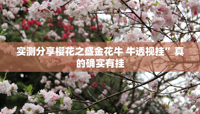 攻略必备“哥哥杭州麻将小程序辅助挂软件”(原来确实是有挂)